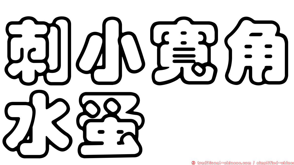 刺小寬角水蚤