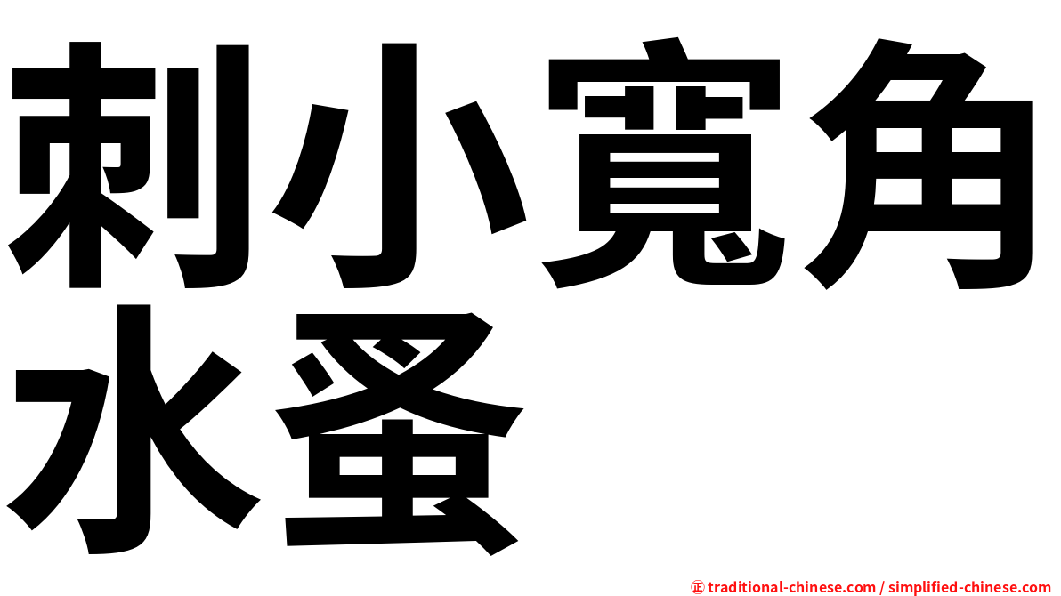 刺小寬角水蚤