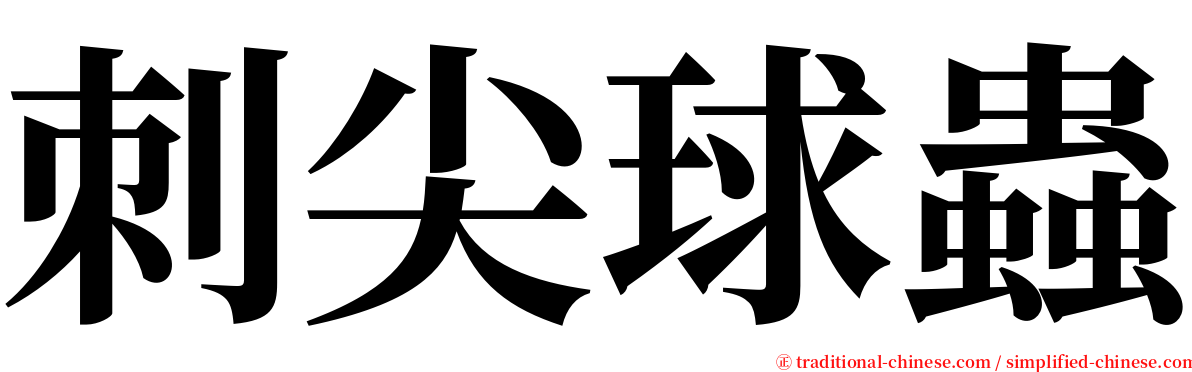 刺尖球蟲 serif font