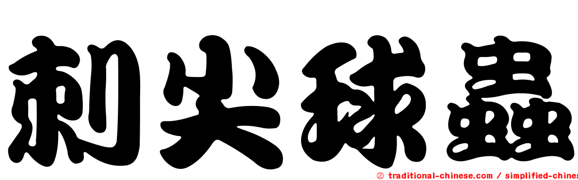 刺尖球蟲