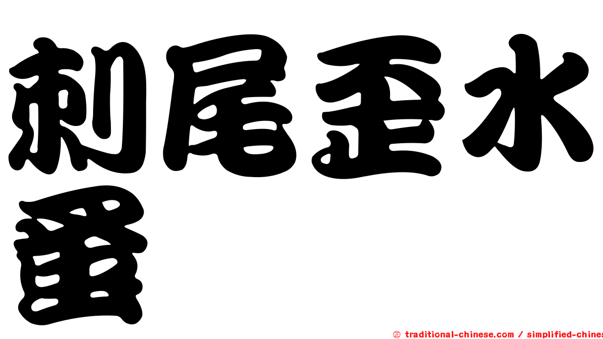 刺尾歪水蚤
