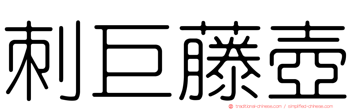 刺巨藤壺