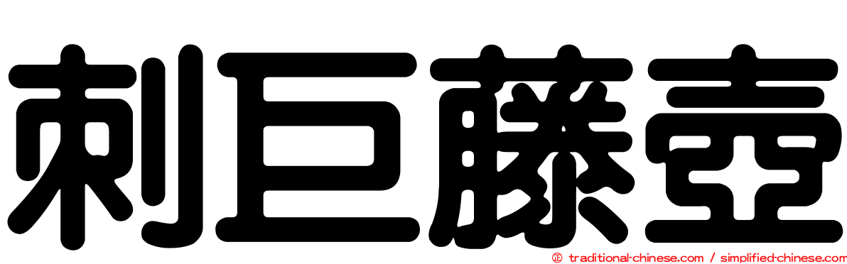 刺巨藤壺