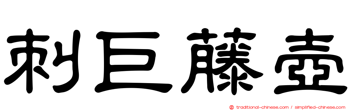 刺巨藤壺