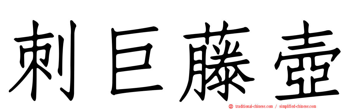 刺巨藤壺