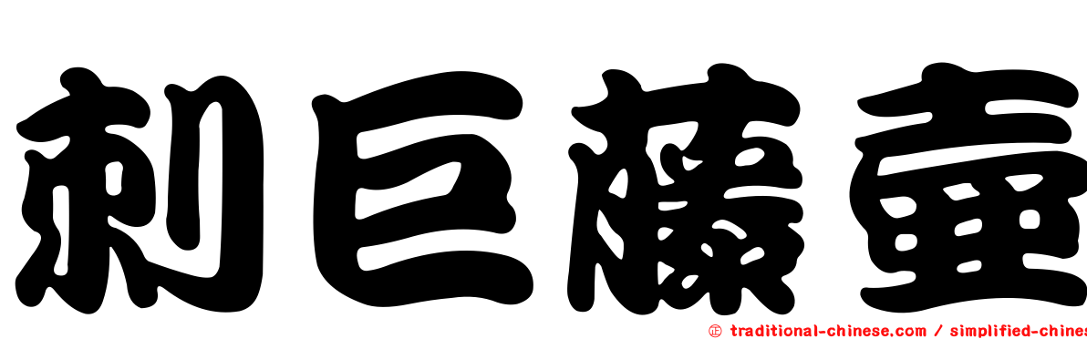 刺巨藤壺