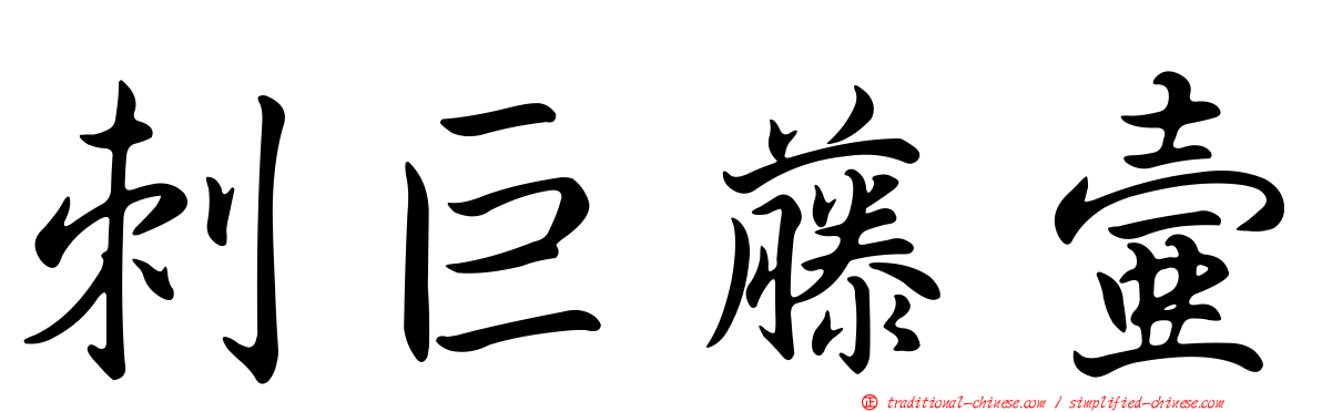 刺巨藤壺