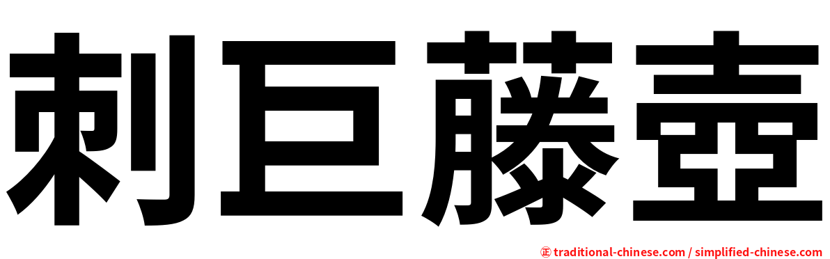 刺巨藤壺
