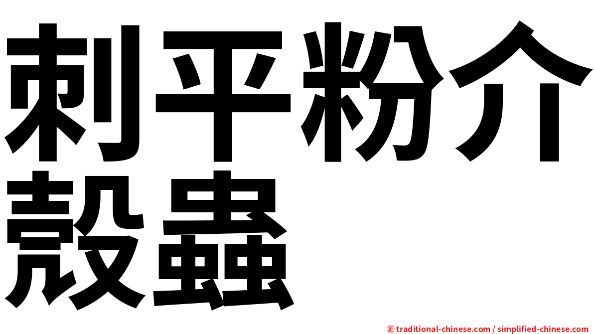 刺平粉介殼蟲