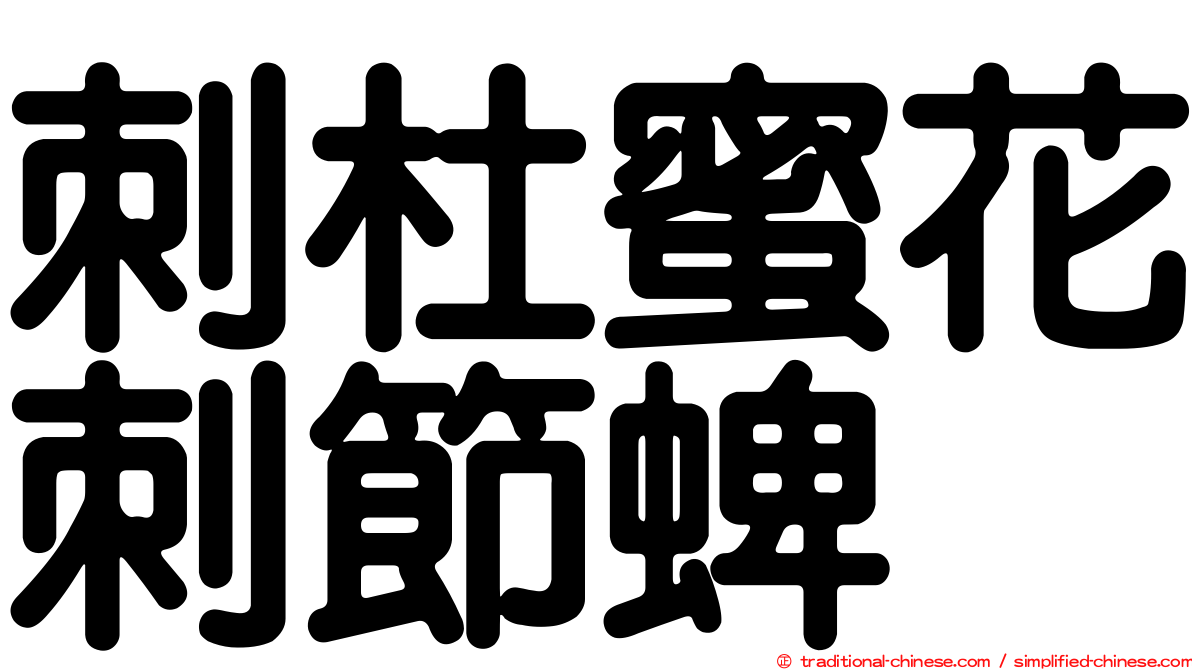 刺杜蜜花刺節蜱