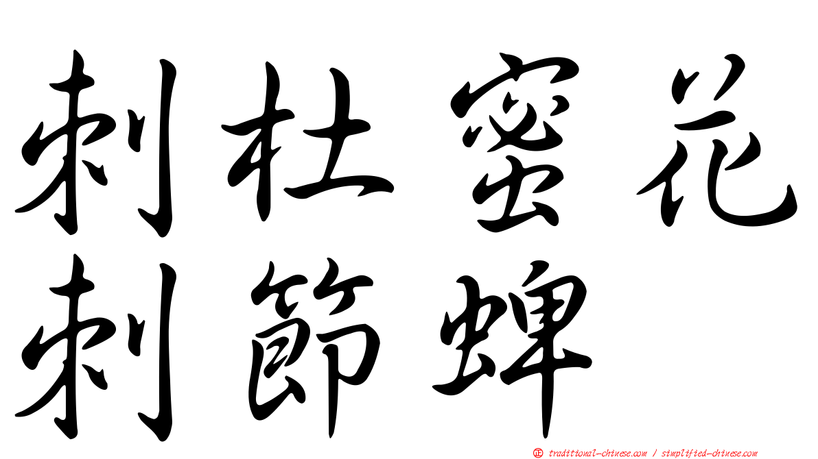 刺杜蜜花刺節蜱