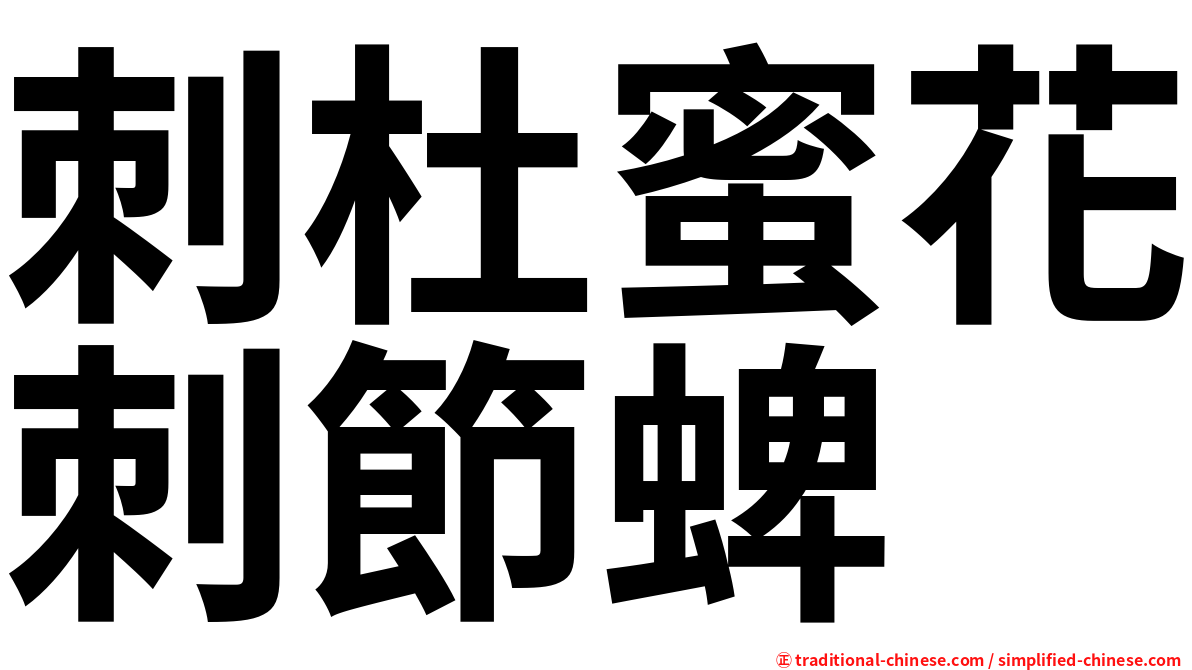 刺杜蜜花刺節蜱