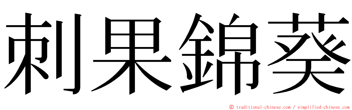 刺果錦葵 ming font