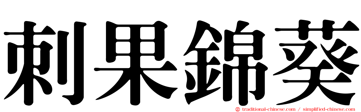 刺果錦葵