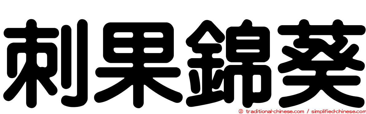 刺果錦葵