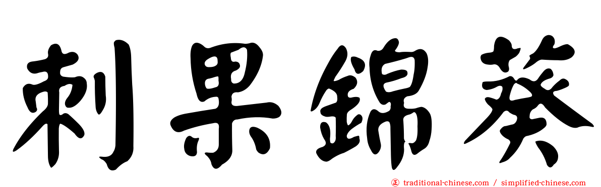 刺果錦葵