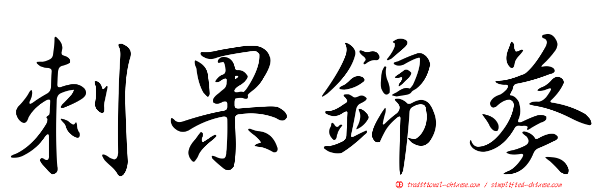 刺果錦葵