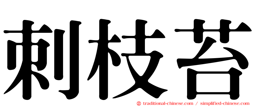 刺枝苔