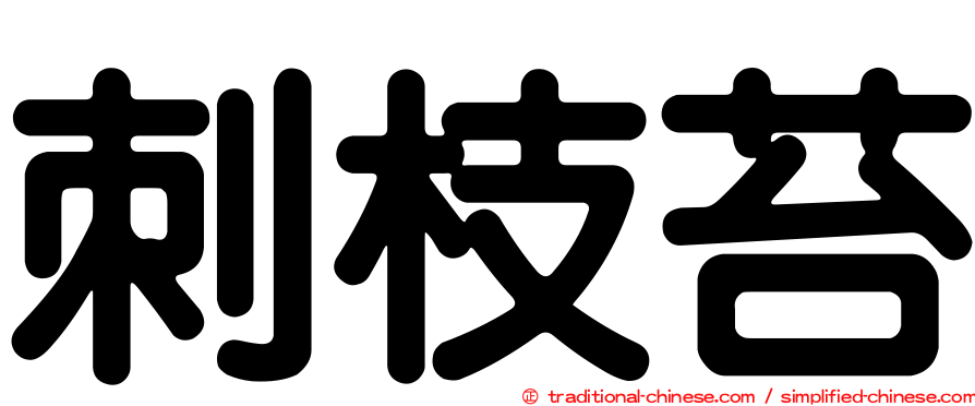 刺枝苔