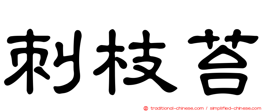刺枝苔