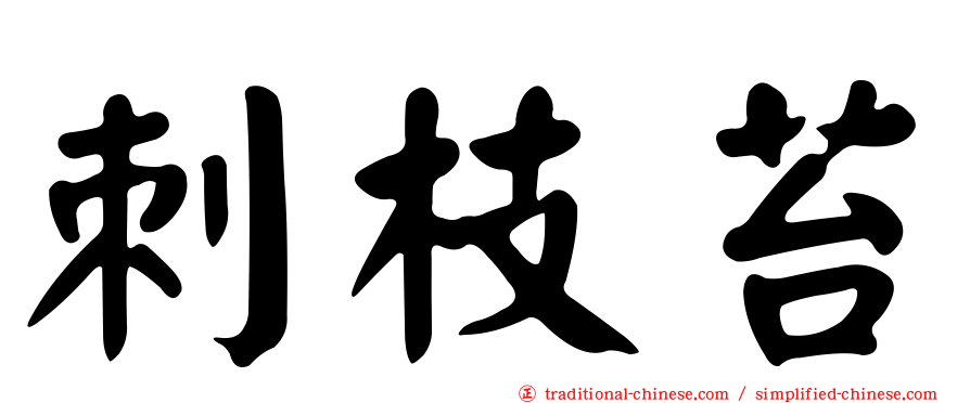 刺枝苔
