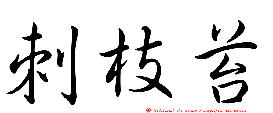 刺枝苔