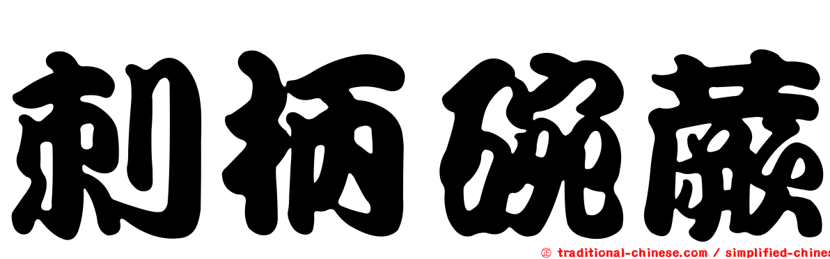 刺柄碗蕨