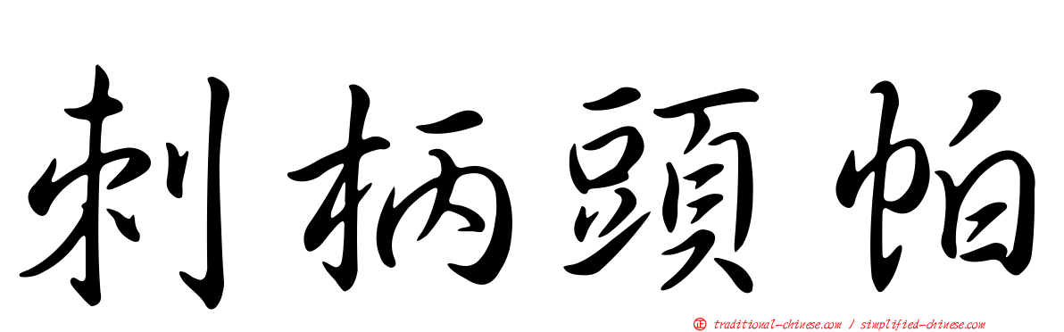 刺柄頭帕