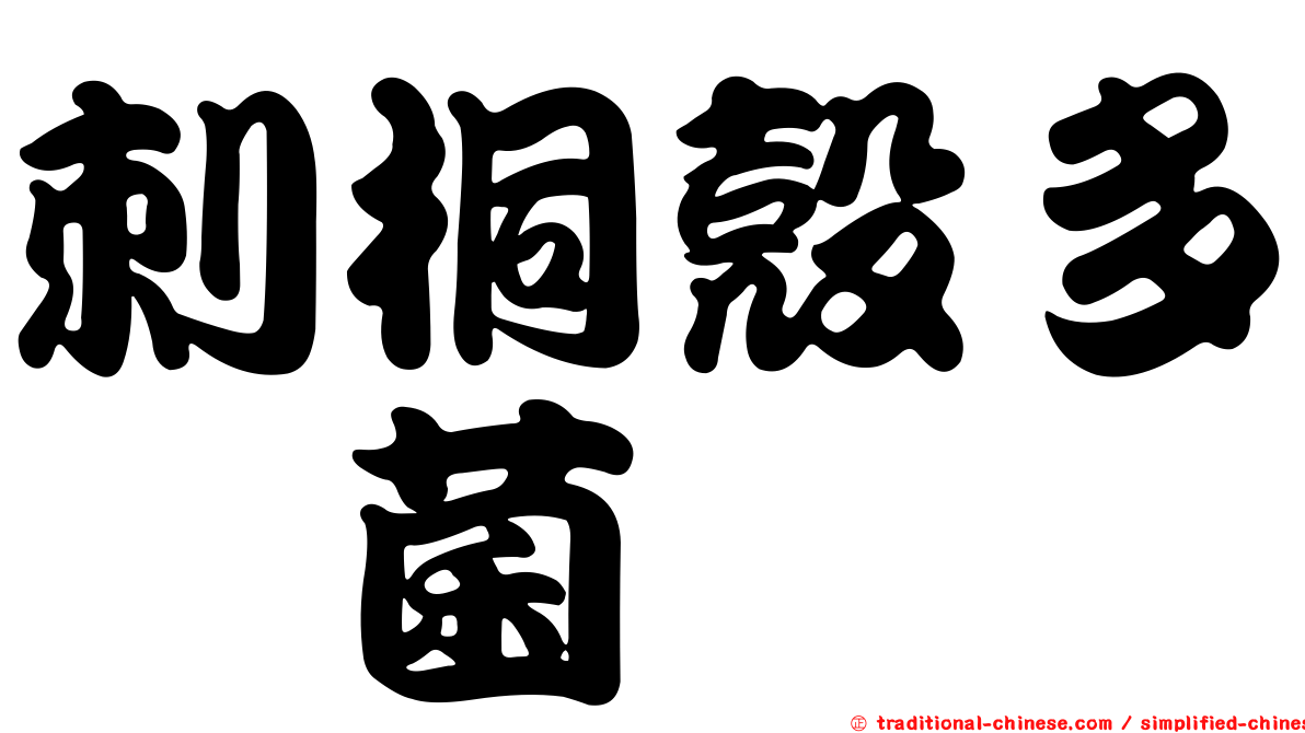 刺桐殼多孢菌