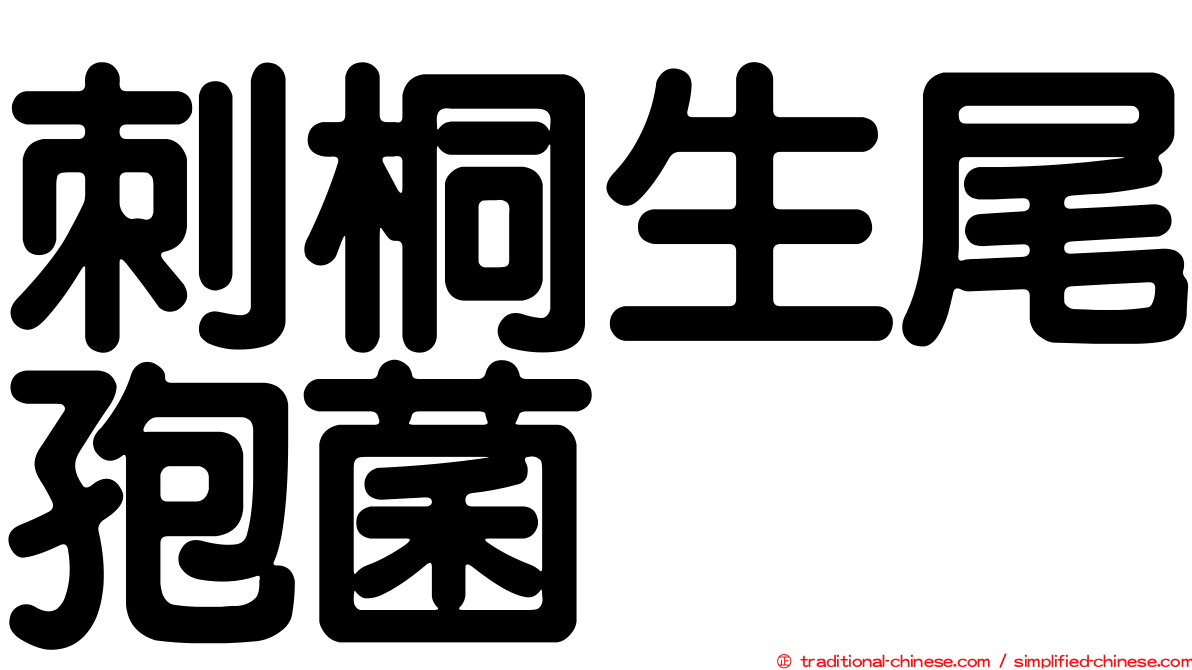 刺桐生尾孢菌