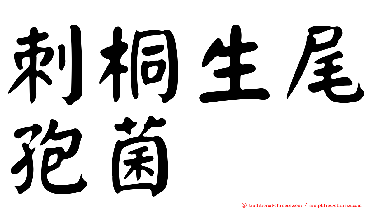 刺桐生尾孢菌