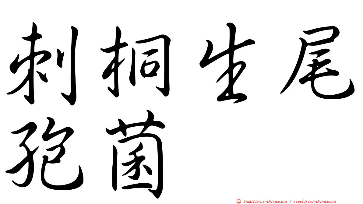 刺桐生尾孢菌