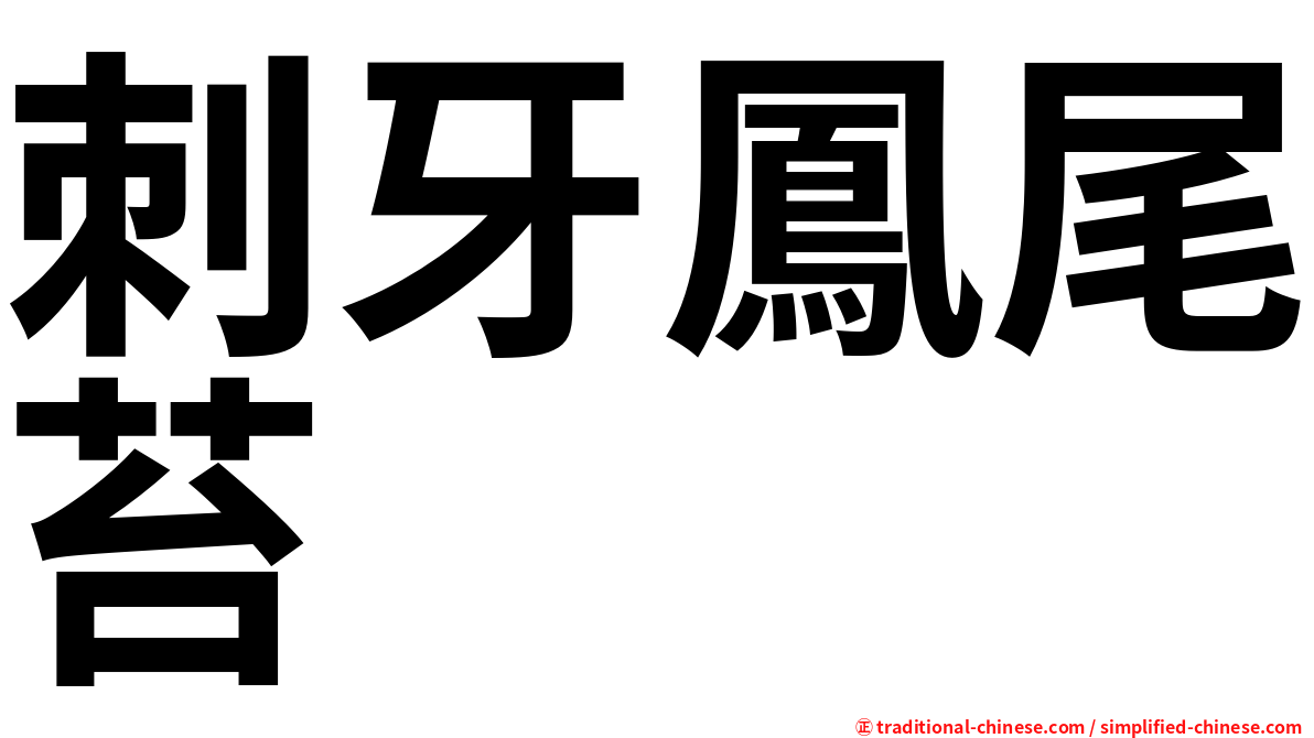 刺牙鳳尾苔