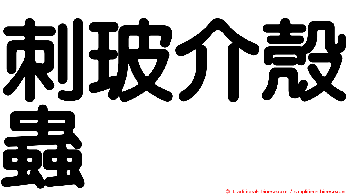 刺玻介殼蟲