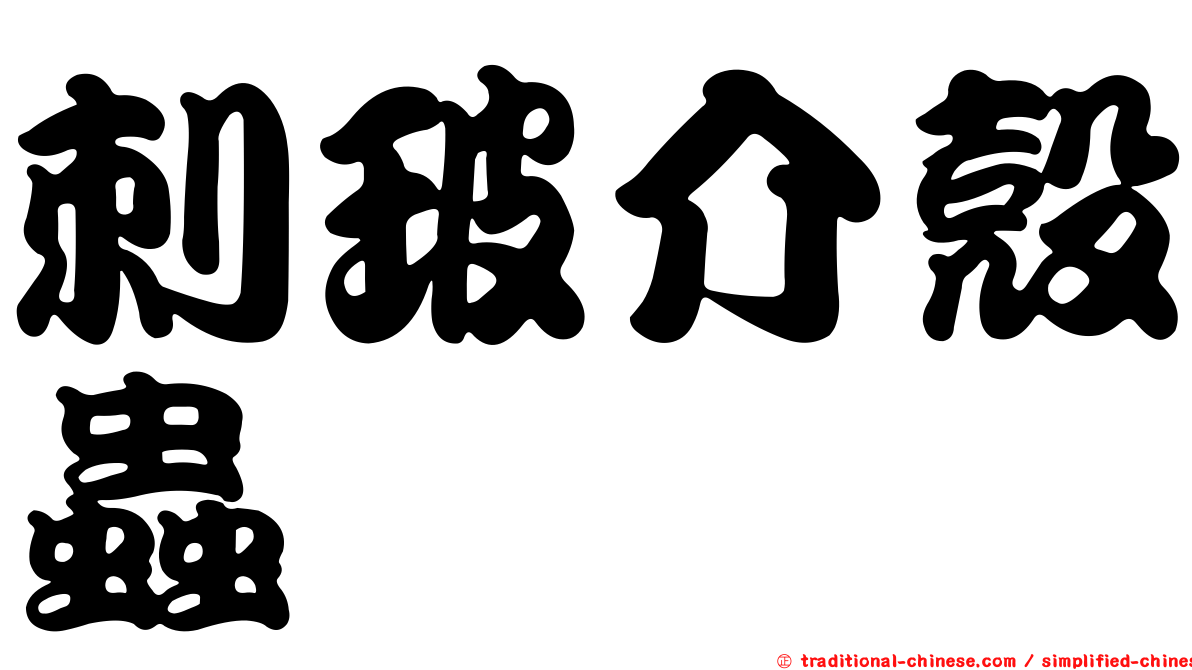 刺玻介殼蟲