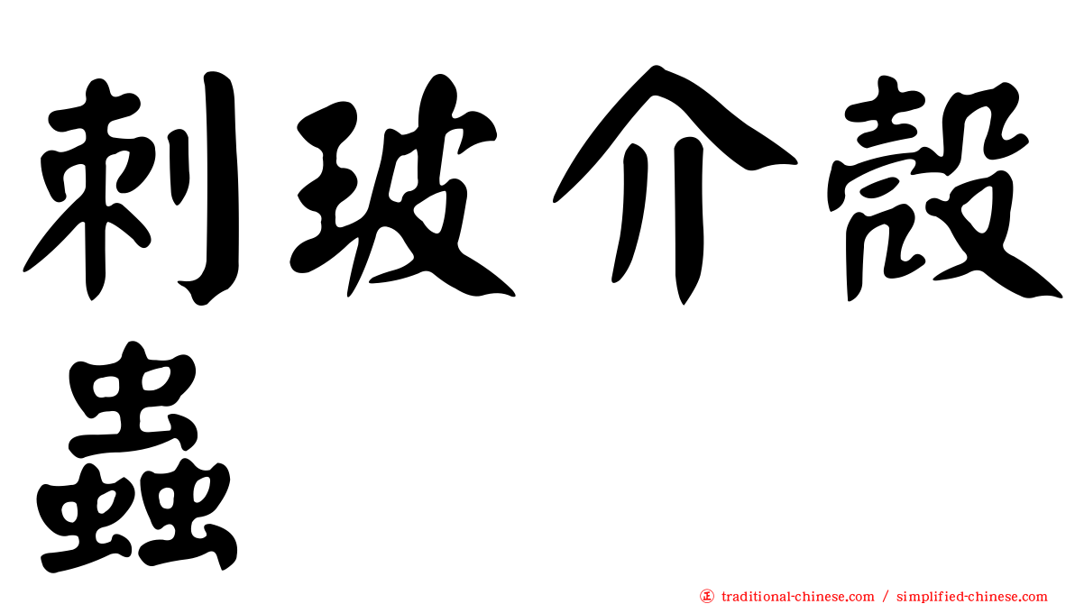 刺玻介殼蟲