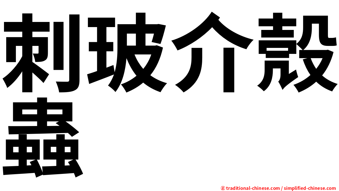 刺玻介殼蟲