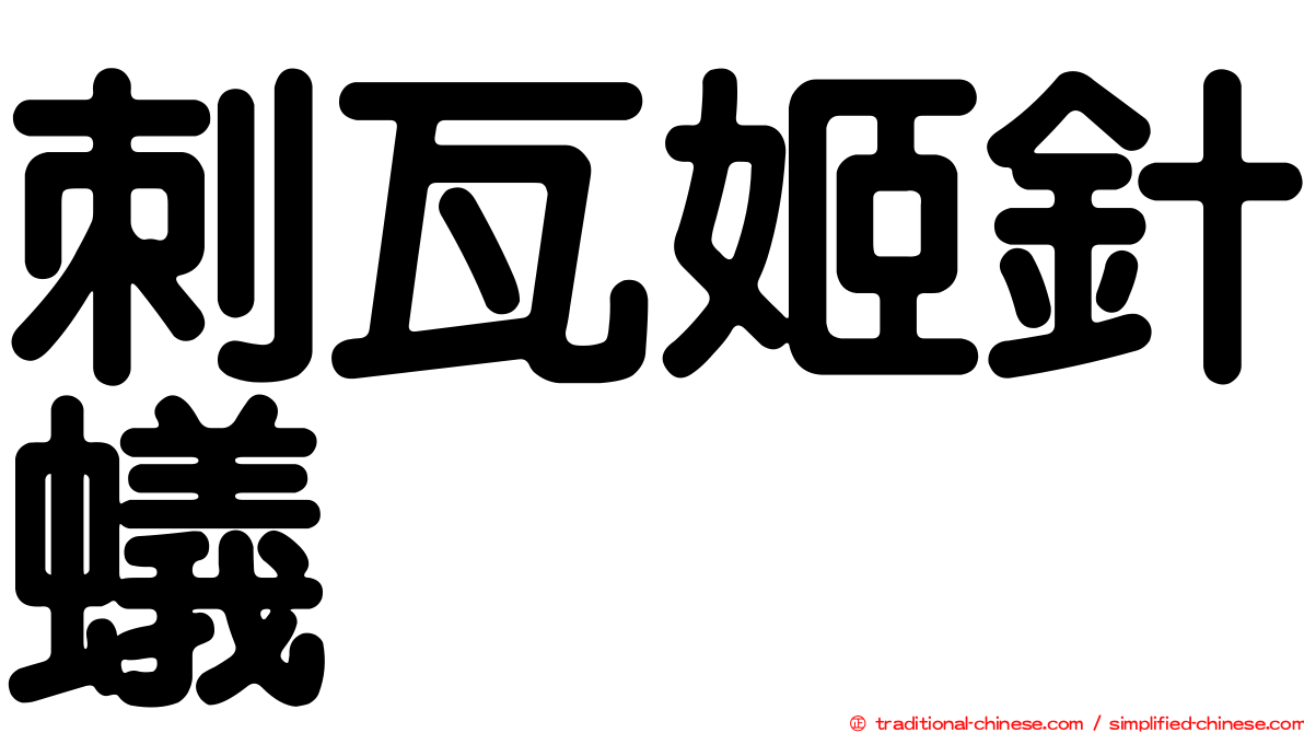 刺瓦姬針蟻