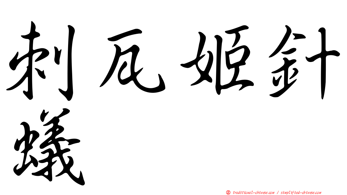 刺瓦姬針蟻
