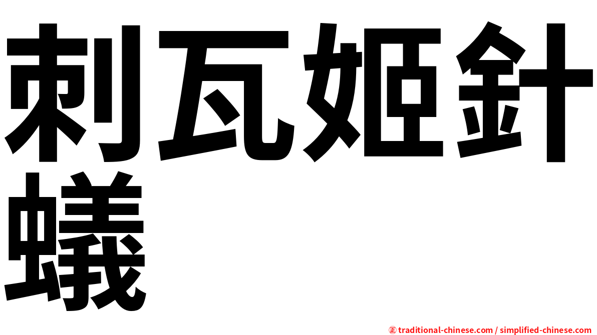 刺瓦姬針蟻