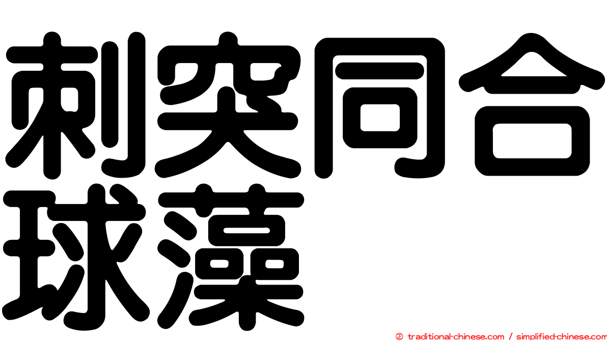 刺突同合球藻
