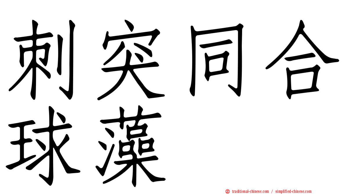 刺突同合球藻