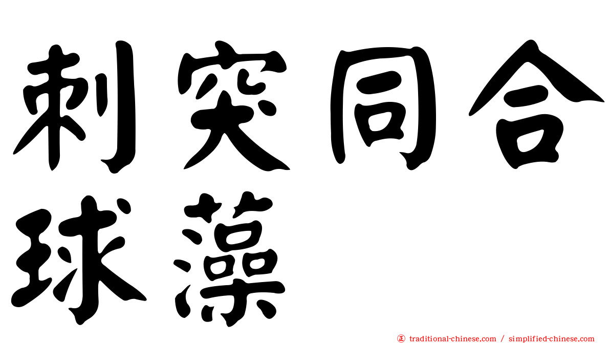 刺突同合球藻