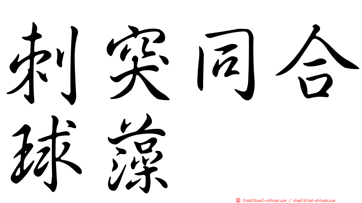 刺突同合球藻