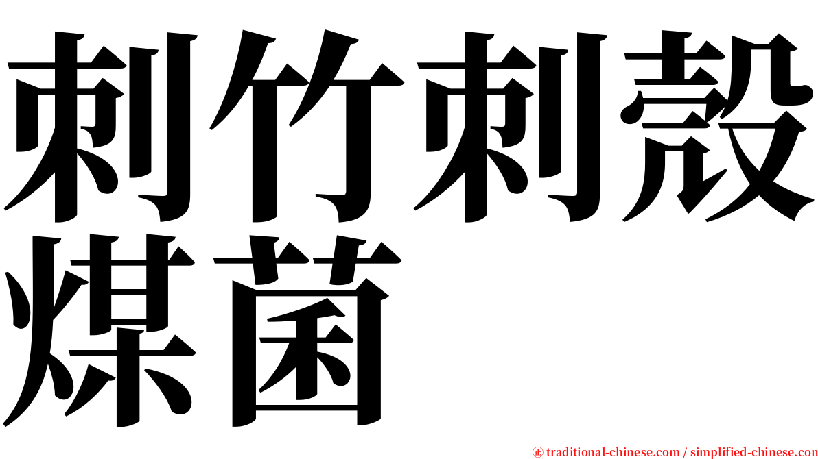 刺竹刺殼煤菌 serif font