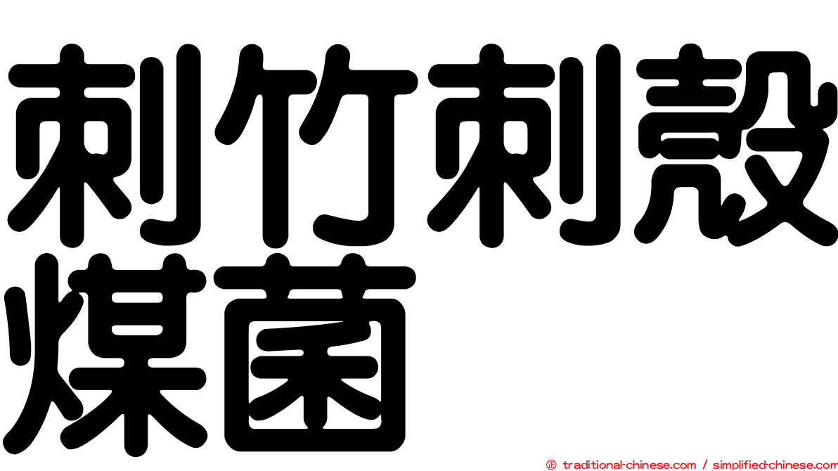 刺竹刺殼煤菌