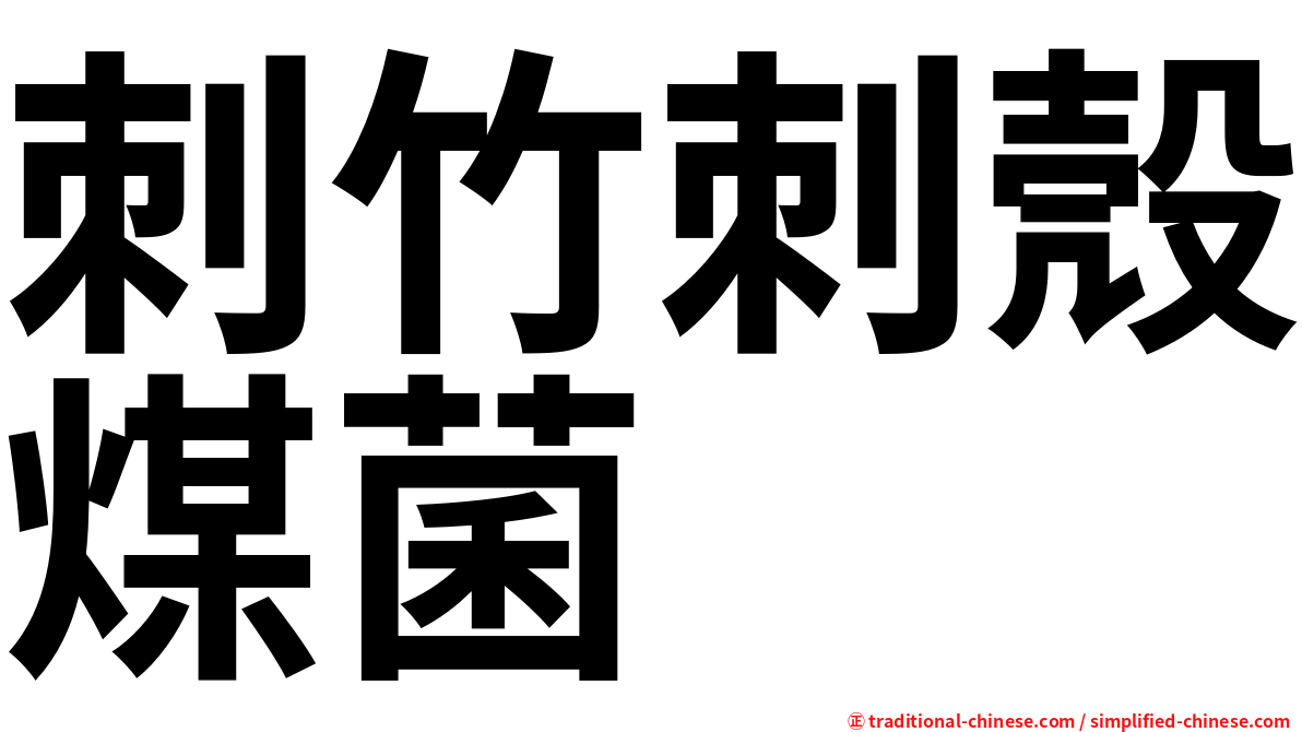 刺竹刺殼煤菌