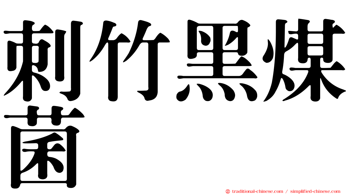 刺竹黑煤菌