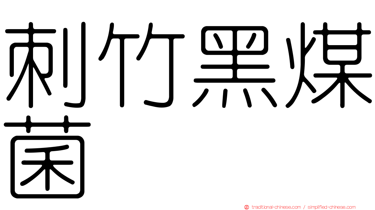 刺竹黑煤菌