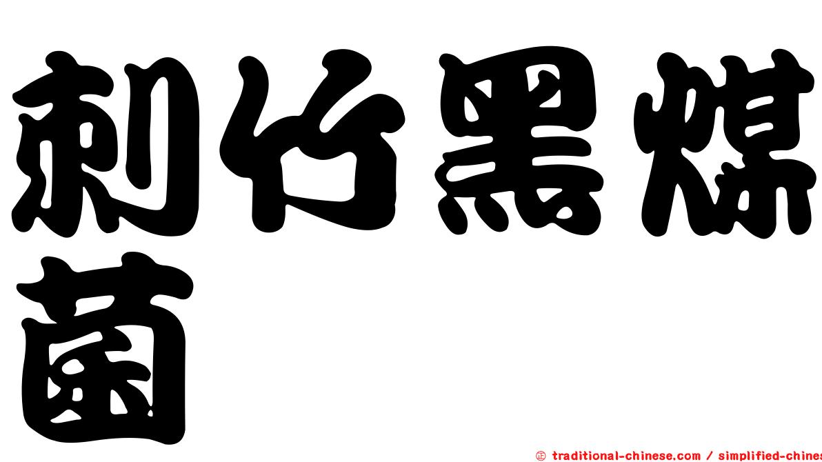 刺竹黑煤菌